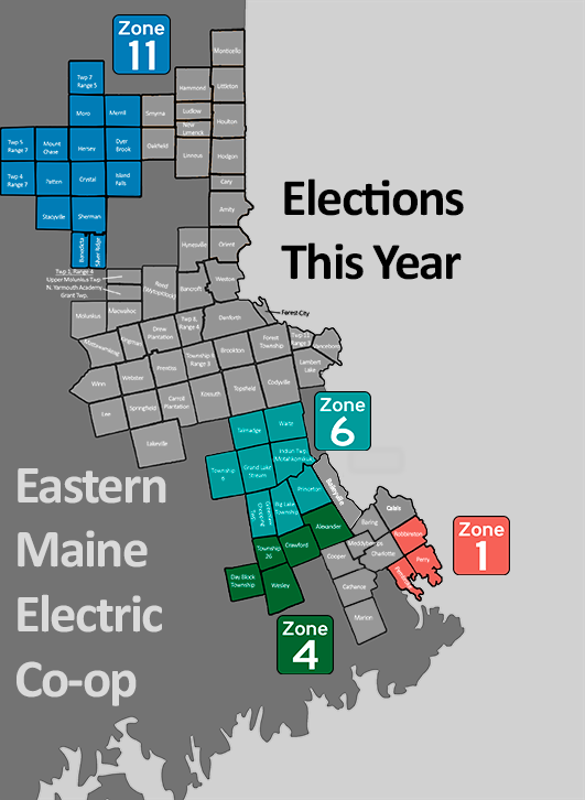 Elections This Year
