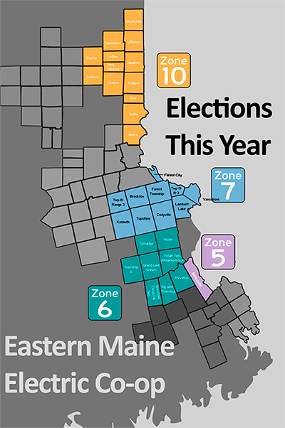 Elections This Year